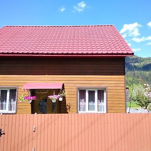 Відпочинок У Карпатах, Мінеральні Ванни, Банний Чан! Guest House Verkhnyaya Bystra Exterior photo