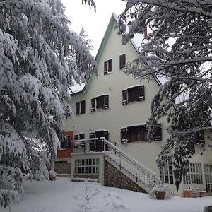 B&B Gli Scoiattoli Rocca di Mezzo Exterior photo