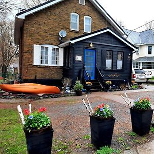 Blue Spruce B&B Muskoka Gravenhurst Exterior photo