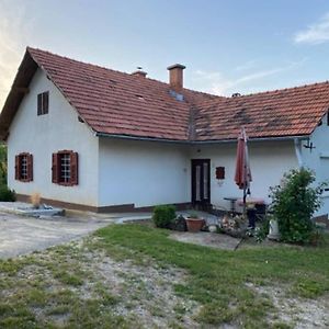 Zivahna Hisa Villa Sveti Jurij ob Scavnici Exterior photo