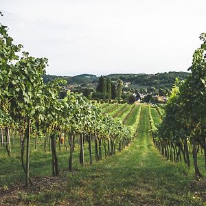 Wein & Gaestehof Erlacher Bed & Breakfast Hartmannsdorf Exterior photo