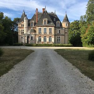 Chateau De Praslins Bed & Breakfast Nogent-sur-Vernisson Exterior photo