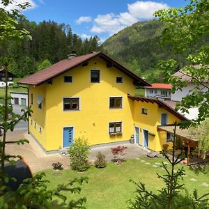 Ferienhaus Elisabeth Selbstversorger Unterkunft Apartment Sankt Aegyd am Neuwalde Exterior photo