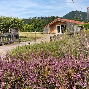 Le Chalet Dans La Nature Villa Saulcy-sur-Meurthe Exterior photo