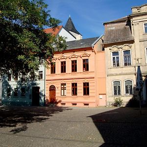 Ferienwohnung Am Saalebogen Calbe Exterior photo