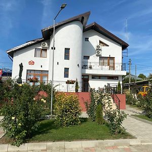 Pensiunea Valea Ilenei Hotel Letcani Exterior photo