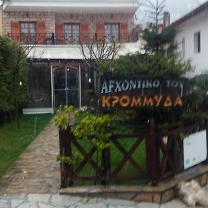 Archontiko Tou Krommyda Hotel Elati  Exterior photo