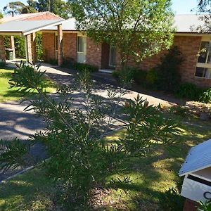 Art On Hart Apartment Bermagui Exterior photo