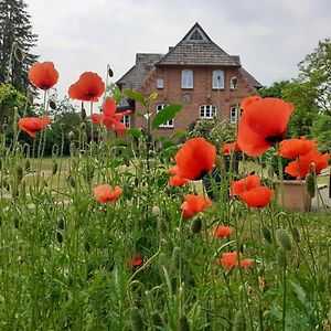 Ferienwohnung Ehemalige Revierfoersterei "Morgensuenn" Kuhstorf Exterior photo