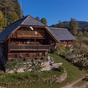 Charmante Gaestewohnung In Altem Bauernhaus In Alpiner Alleinlage Stanz Im Murztal Exterior photo