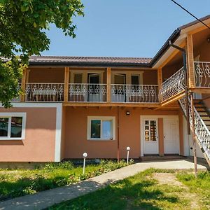 Під Соснами Hotel Krivorovnya Exterior photo