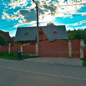 Casa Cu Traditie Hotel Sirbi Exterior photo