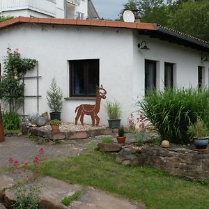 Haus Alpaka Villa Bad Konig Exterior photo
