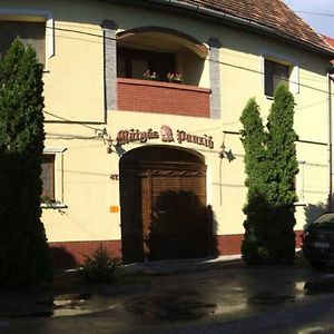 Matyas Panzio Bed & Breakfast Szeged Exterior photo