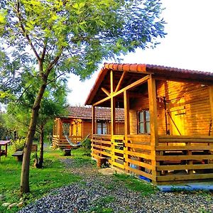 Genacvale In Bandza Hotel Martvili Exterior photo