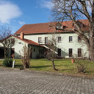 Altes Teichhaus - Pension Ottendorf-Okrilla Hotel Exterior photo