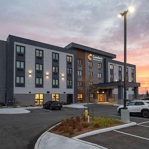 Comfort Inn & Suites Carleton Place Exterior photo