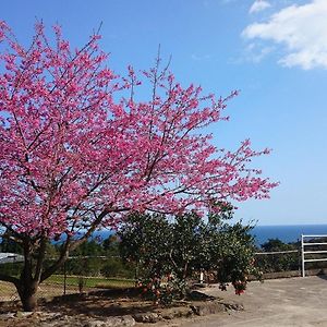 Maetakeso Hotel Yakushima  Exterior photo