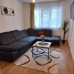 Apartament Dania & Petru Apartment Tirgu Ocna Exterior photo