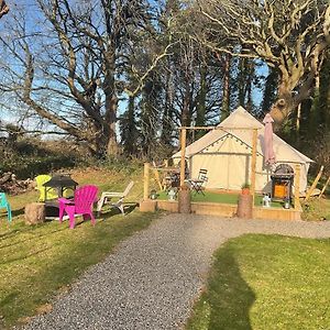 Garden County Glamping Hotel Newtownmountkennedy Exterior photo