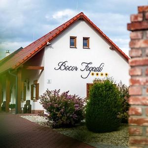 Bocor Fogado Bed & Breakfast Kisharsany Exterior photo