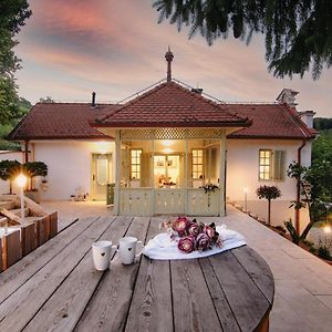 Vila Vilma Vineyard Cottage Lendava Exterior photo