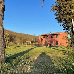 Appartamento Terracotta Nel Podere Gretano Paganico  Exterior photo