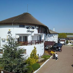 Pensiunea Beluga Hotel Murighiol Exterior photo