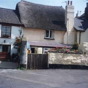 Dolphin Cottage 50M From Shaldon Beach! Exterior photo