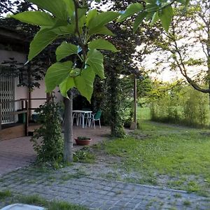 Rose Canine B&B Cesenatico Exterior photo