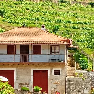 D. Maria Sao Pedro De Balsemao Guest House Lamego Exterior photo