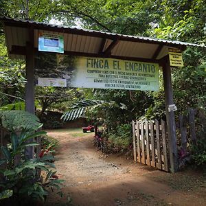 Finca Encanto Eco Lodge Sierpe Exterior photo