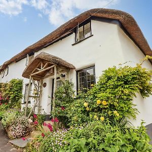 Rose Cottage In Holcombe Dawlish Exterior photo