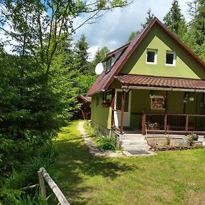 Green House Villa Gheorgheni  Exterior photo