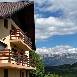 Transylvanian House Hotel Drumu Carului Exterior photo