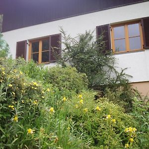 Haus Ilse Villa Bad Kleinkirchheim Exterior photo