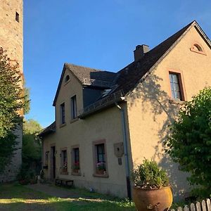 Idyllisches Muehlengebaeude Apartment Hillesheim Exterior photo