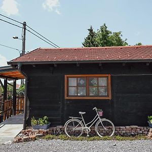 Studio Apartment Romeo Velika Gorica Exterior photo