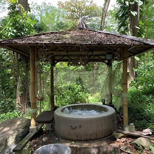 Mon Ecolodge Creole Fort-de-France Exterior photo