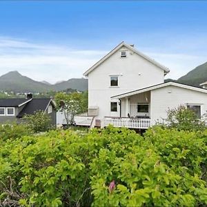 Lovely 1 Bedroom Downstairs Condo With Free Parking Place Svolvaer Exterior photo
