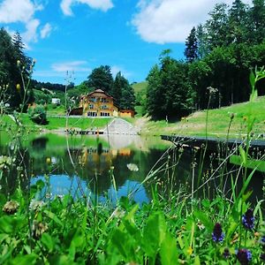 Zelena Oaza Bed & Breakfast Zgornja Kungota Exterior photo