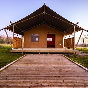 Arcadia Safari Tent In Private 5 Acre Field Wrexham Exterior photo