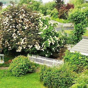 Balally House Bed & Breakfast Shannon Exterior photo