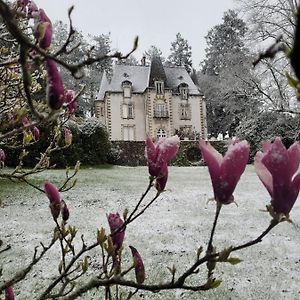 Chateau Maleplane Bed & Breakfast Saint-Leonard-de-Noblat Exterior photo