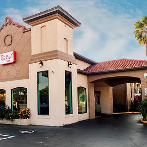 Red Roof Inn Orlando South - Florida Mall Exterior photo