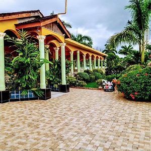 Chateau Margarita Ja Hotel Montego Bay Exterior photo