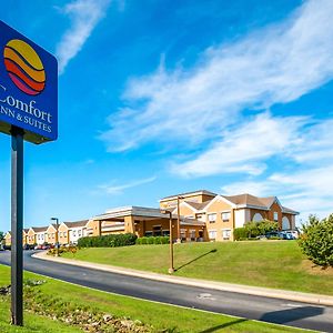 Comfort Inn & Suites North East Exterior photo