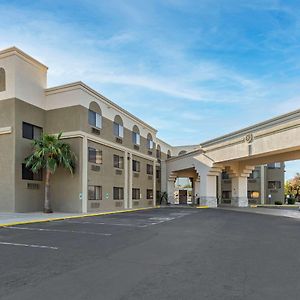 Comfort Inn & Suites Surprise Near Sun City West Exterior photo