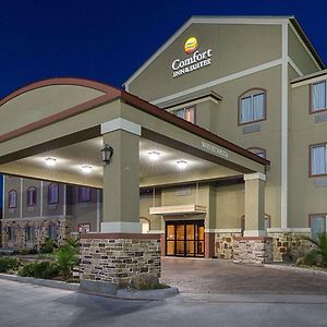 Comfort Inn & Suites Monahans I-20 Exterior photo