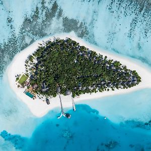 Angsana Velavaru - 20 Percent Off On Return Sea Plane Transfers, Spa, F&B And Watersports Till 27Th Dec 2024 Hotel Meedhoo  Exterior photo